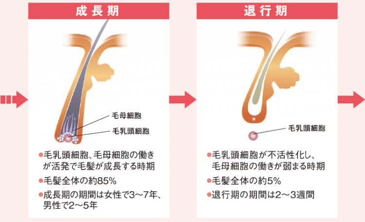 シャンプー時の抜け毛が気になる方へ 正しい洗髪方法と対策アイテム