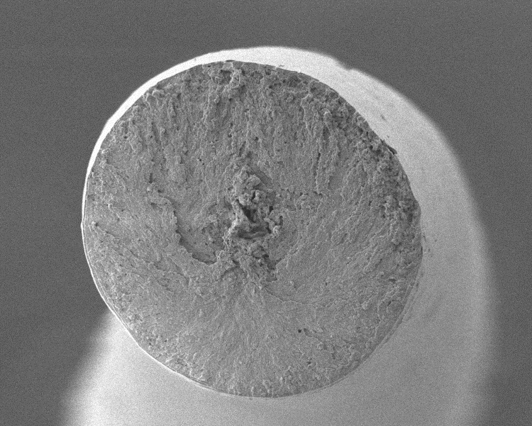 もう硬くて太い髪質に悩まない 硬毛の特長とケア方法