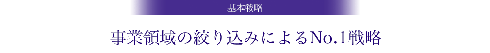 基本戦略 / 事業領域の絞り込みによるNo.1戦略